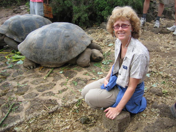 Susie Befriends the Tortoises