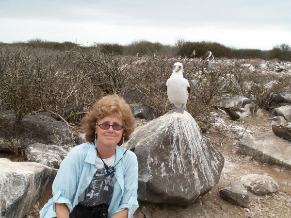 Susie & the Nazca Booby
